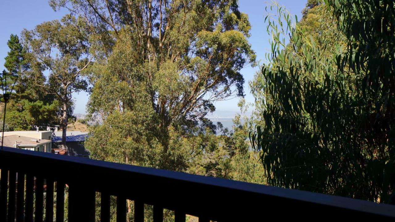 Вілла @ Marbella Lane Eco Friendly Treehouse, Sfo Брісбен Екстер'єр фото